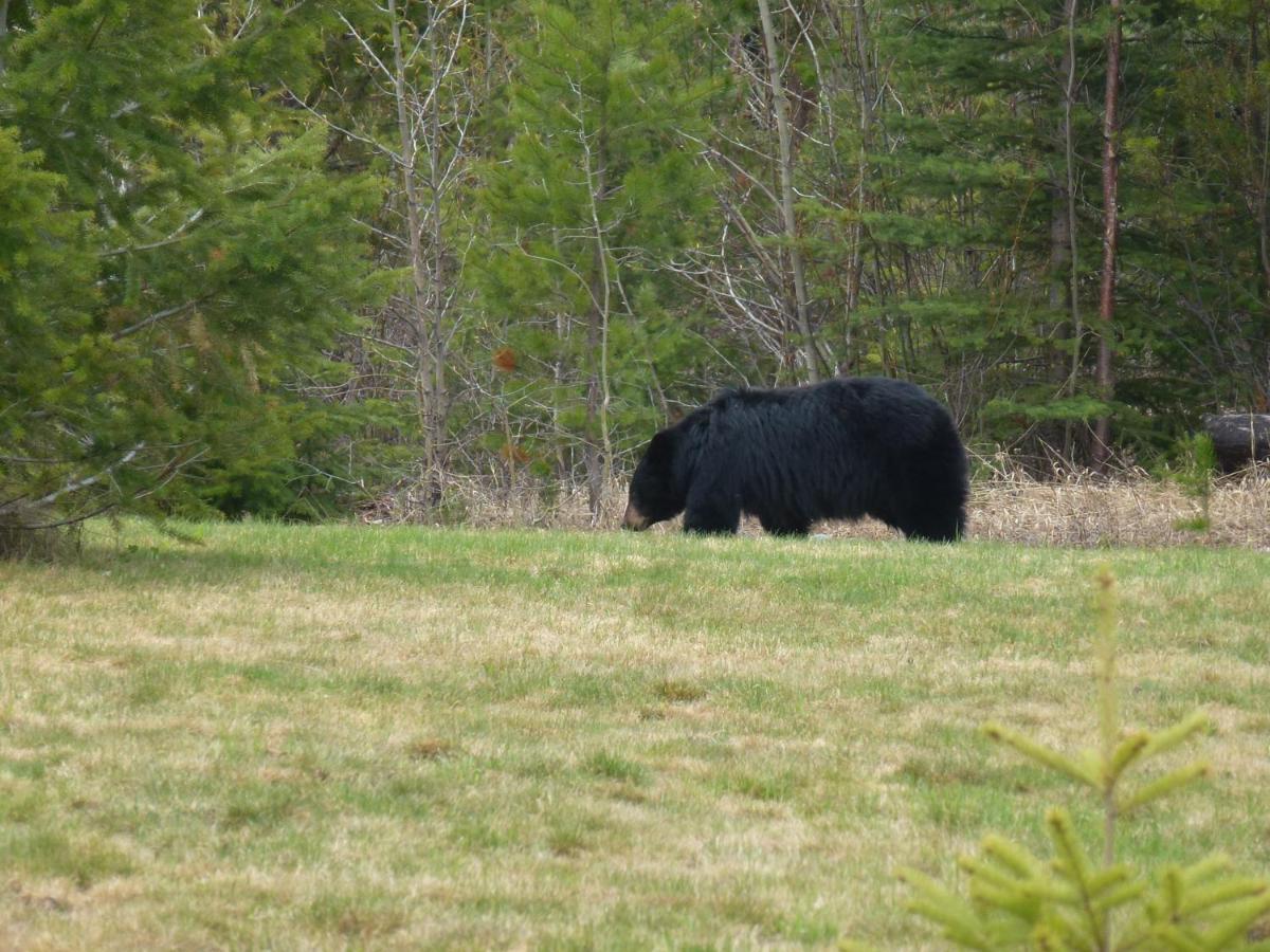 Little Black Bear Lodge/B&B Bridge Lake Luaran gambar