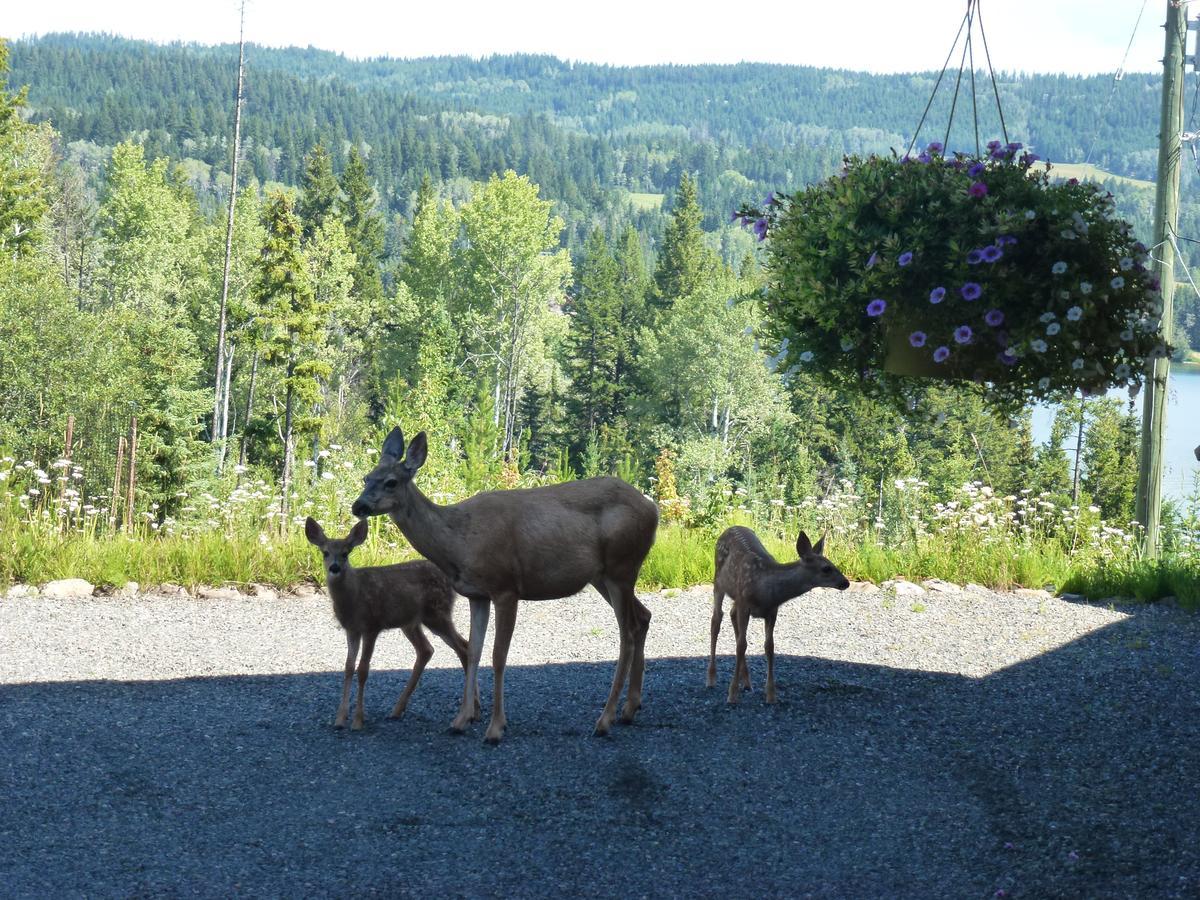 Little Black Bear Lodge/B&B Bridge Lake Luaran gambar