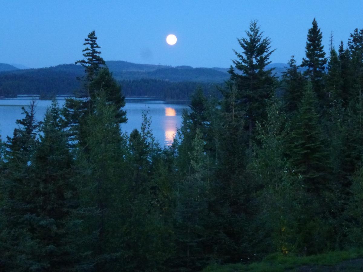 Little Black Bear Lodge/B&B Bridge Lake Luaran gambar