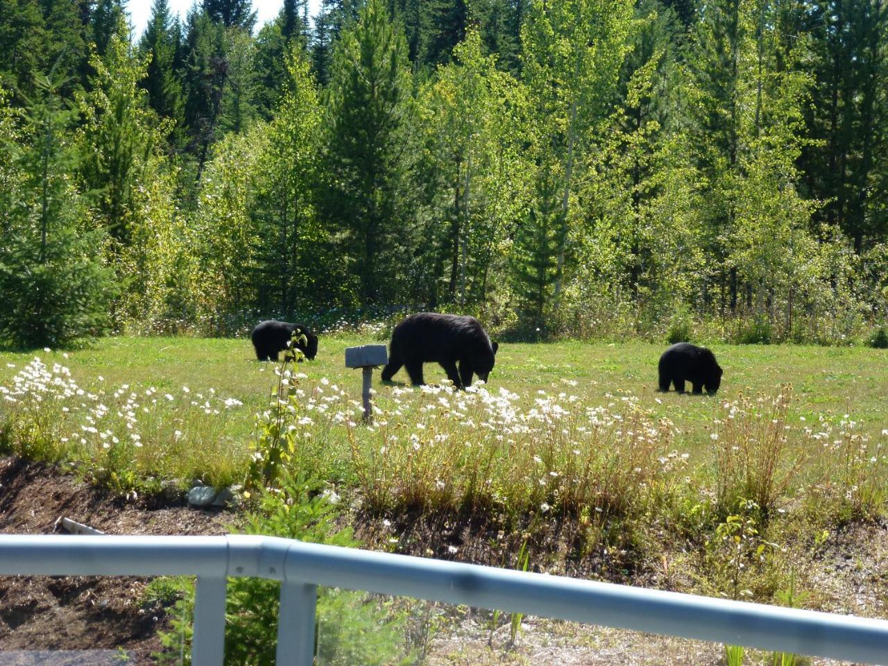 Little Black Bear Lodge/B&B Bridge Lake Luaran gambar