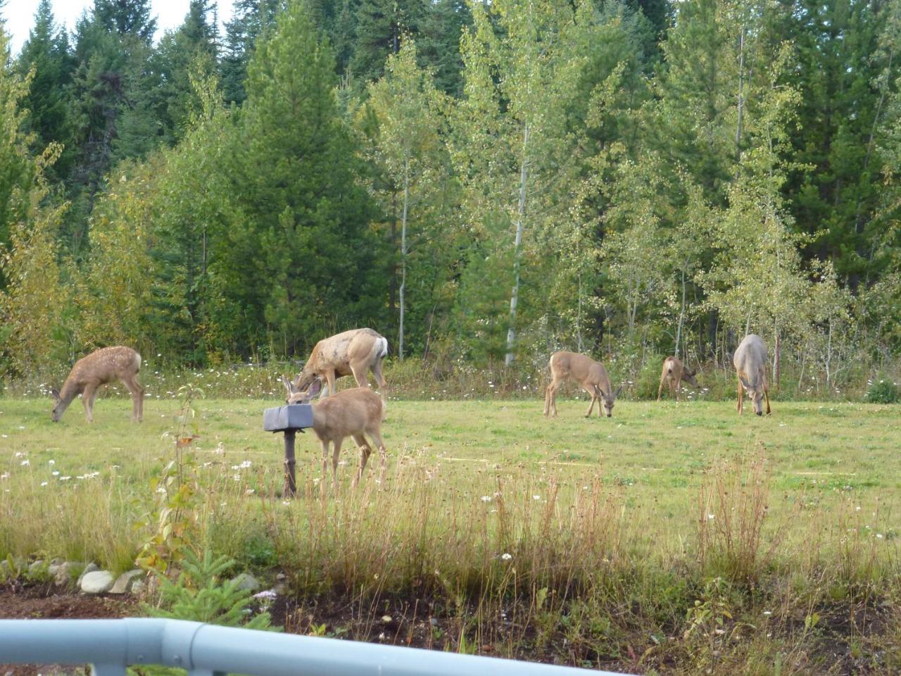 Little Black Bear Lodge/B&B Bridge Lake Luaran gambar
